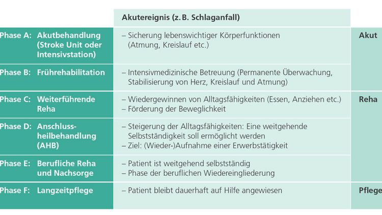 Abbildung des neurologischen Phasenmodells